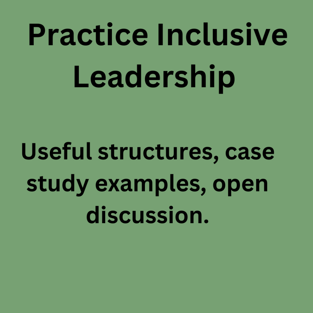 Practice Inclusive Leadership: Useful structures, case study examples, open discussion